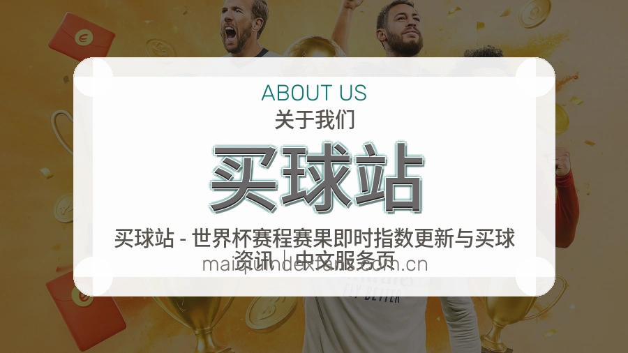 买球站关于我们与品牌服务展示图
